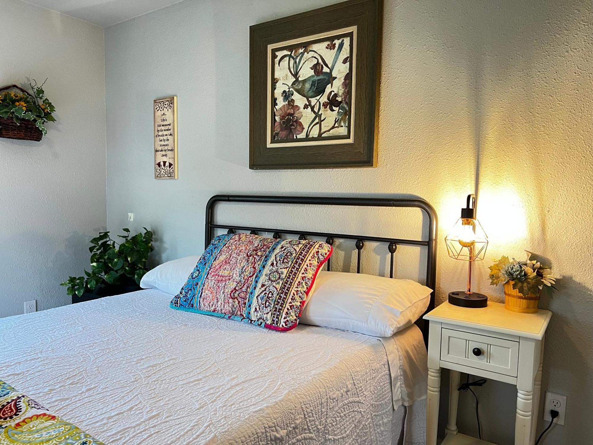 Boho Bliss- Cozy Private Room 2 Miles From Alamodome! サンアントニオ エクステリア 写真